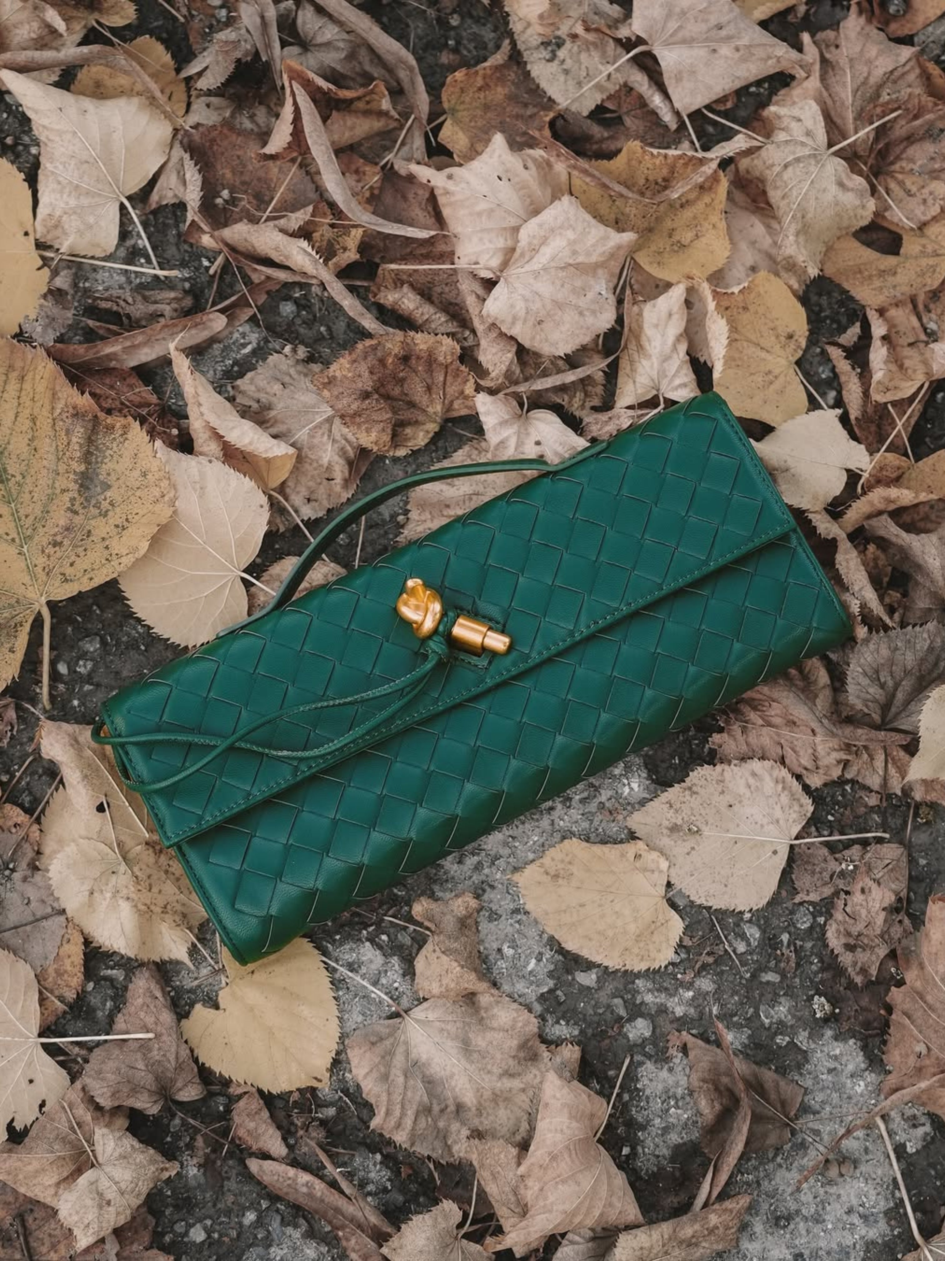Zara Woven Clutch